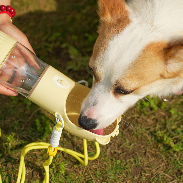 2 In 1 Portable Dog Water Bottle For Small Big Dogs Cat Outdoor Leak-proof Puppy Drinking Bowl With Food Container Pets Feeder Pet Products - Image 3